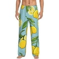 thumbnail image 1 of Balery Men'S Lemon Pants,Sleepwear Pants,Pajama Pants,Pj Bottoms Drawstring And Pockets-Large, 1 of 9
