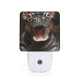 thumbnail image 1 of Balery Playful Baby Hippo Splash Pattern LED Night Light with Automatic Sensor Plug in Night Light with Dusk-to-Dawn Light Sensor LED Nightlight 0.5W-US, 1 of 7