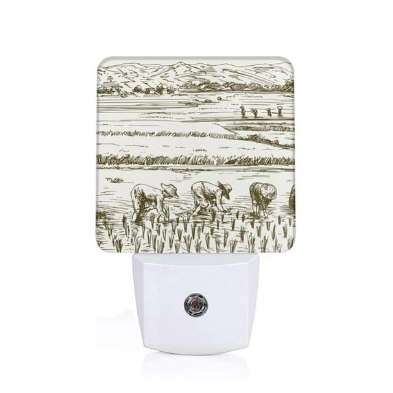 Balery Rice Harvest Pattern LED Night Light with Automatic Sensor Plug in Night Light with Dusk-to-Dawn Light Sensor LED Nightlight 0.5W-EU