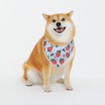 thumbnail image 1 of Balery Strawberries Pattern Pet Scarf for Dogs and Cats – Stylish Reflective Design, Breathable & Durable Pet Bandana with Quick-Release Buckle-Large, 1 of 7