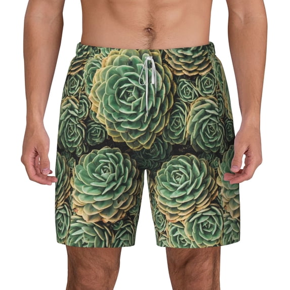 Balery Succulents Mens Swim Trunks Swim Shorts for Men Quick Dry Inseam Beach Shorts with Compression Liner Pocket-3X-Large