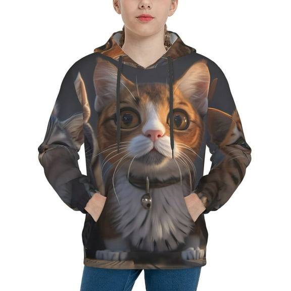 Balery Wide Eyed Cartoon Cats Pattern Boys Hoodie, Youth Pullover Hooded Sweatshirt, Kangaroo Pocket Hoodie for Kids Girls -Large