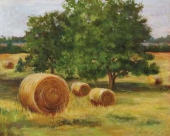 Bales of Hay Canvas Art - Cheri Wollenberg (22 x 28)