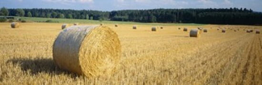 Bales of Hay Southern Germany Canvas Art - Panoramic Images (18 x 6)