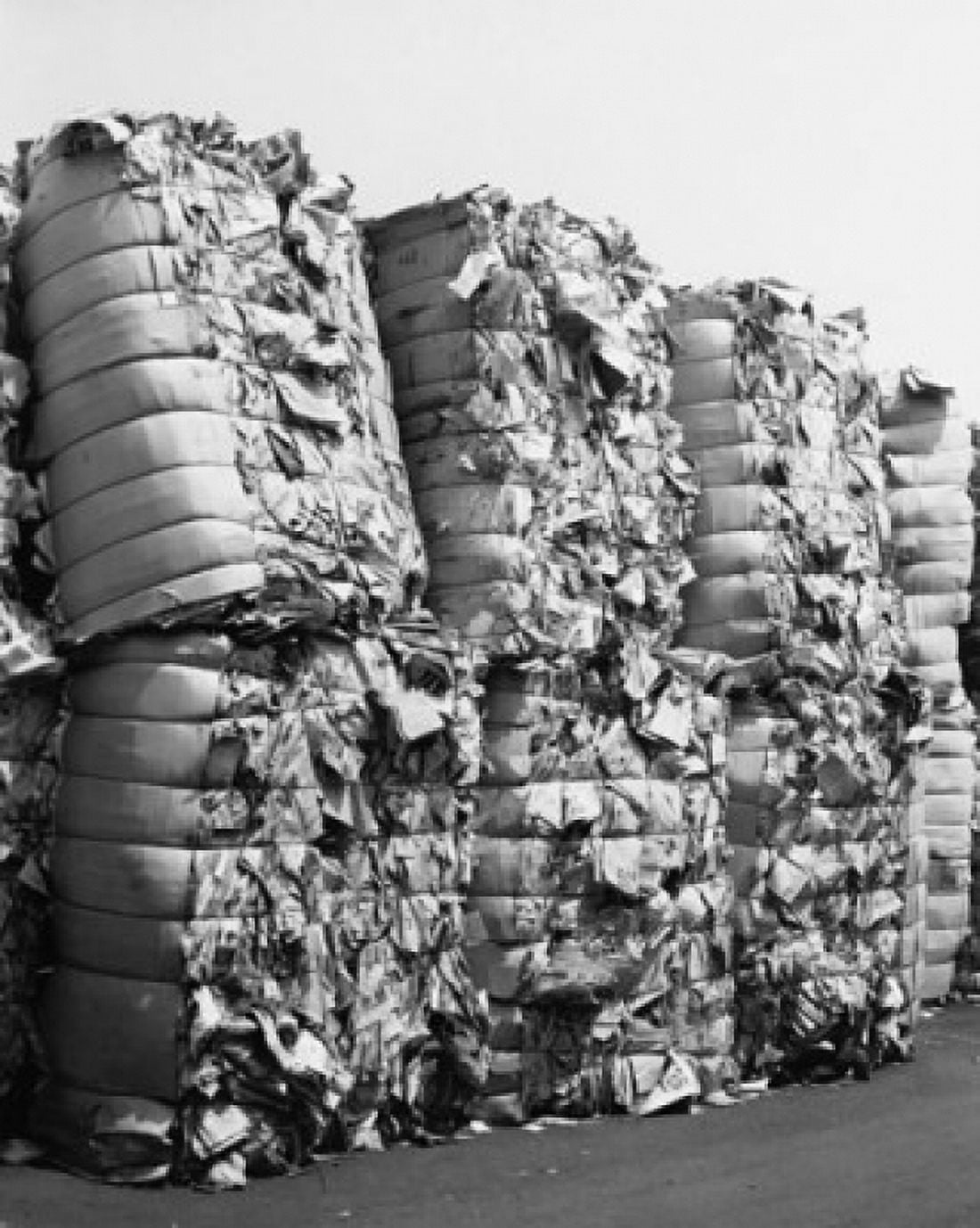Bales of waste paper Canvas Art - (18 x 24)
