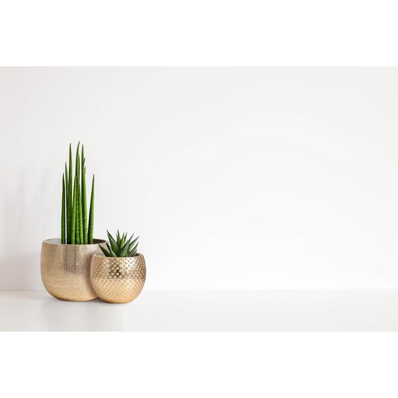 Bali Ceramic Gold Foil Plant Pot Set 2-6.6 + 5.5 Inch Indoor Planters Cement Outdoor Flower Pots