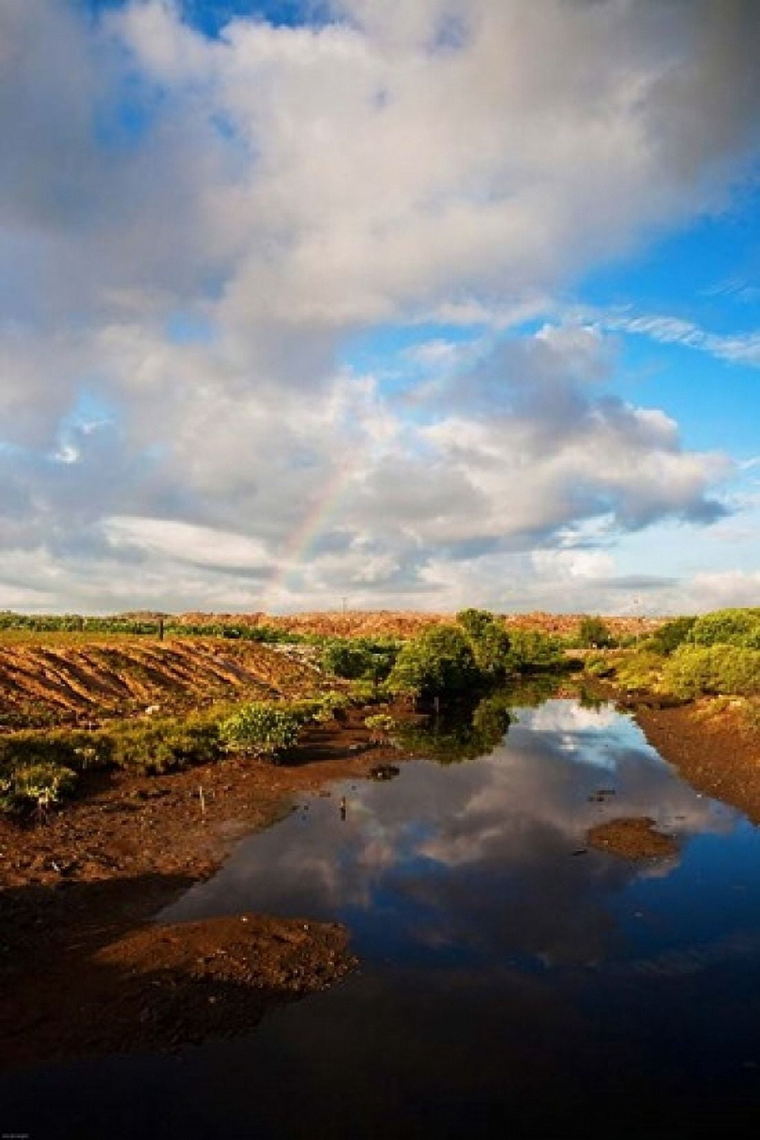 Bali Indonesia Suwung Waste dump Serangan island Canvas Art - Micah Wright DanitaDelimont (24 x 36)