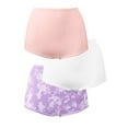 thumbnail image 1 of Bali Skimp Skamp® Brief, 3-Pack Blushing Pink/White/Morning Orchid w/White Leaf Print 7 Women's, 1 of 3
