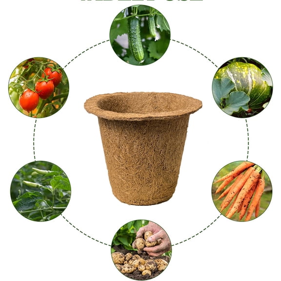 Balieda Premium Eco-Friendly Pulp Plant Starter Pots Strong, Ventilated Design for High Flower Survival Rates