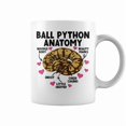 thumbnail image 1 of Ball Python Anatomy Ball Python Owner Ball Python Lover Coffee Mugs, 1 of 4