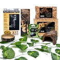 thumbnail image 1 of Ball Python Tank Starter Kit Snake Habitat 10 Gallon Terrarium Kit, 1 of 9