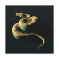 thumbnail image 1 of "Ball Python Minimalism" - Canvas, 1 of 1