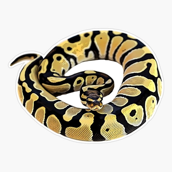 Ball Python Snake - Morph Lovers Er, Phone Decal Water Bottle Stickers Car Decals, Funny Birthday Gift