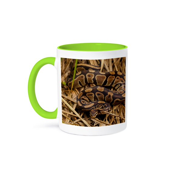 3dRose, Ball python snake, North Carolina, USA - US34 BJY0027 - Jaynes Gallery, 11oz Two-Tone Green Mug