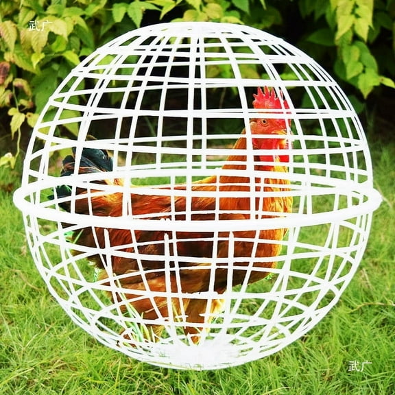 Ball-Shaped Chicken Cage,Ball-Shaped Movable Plastic Mesh Chicken Coop,Pet Removable Safety Cage Chicken Coop Ball Cage Rolling Enclosure,Outdoor Rabbit Hutch for Pigeon Chicks Birds Ducks