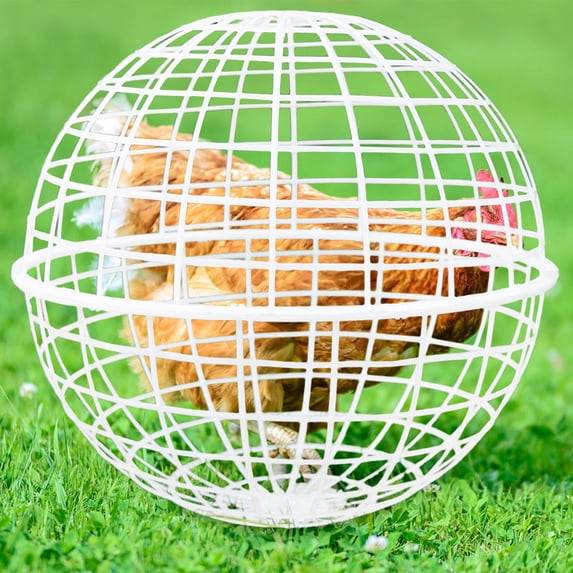 Ball-Shaped Chicken Cage,Ball-Shaped Movable Plastic Mesh Chicken Coop,Pet Removable Safety Cage Chicken Coop Ball Cage Rolling Enclosure,Outdoor Rabbit Hutch for Pigeon Chicks Birds Ducks