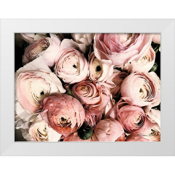 Ball, Susan 18x14 White Modern Wood Framed Museum Art Print Titled - Coral Ranunculus
