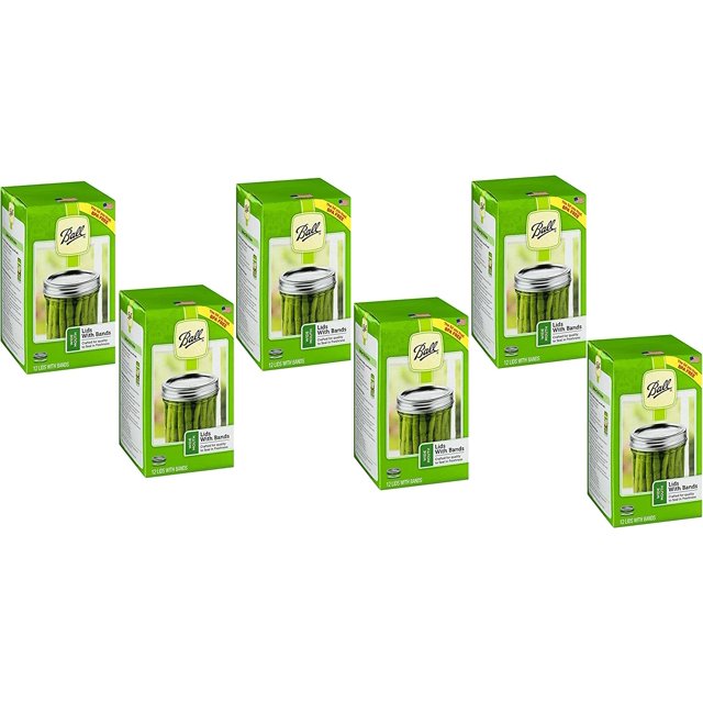 Ball Wide Mouth Lids and Ring Bands for Glass Mason Jars, Used for