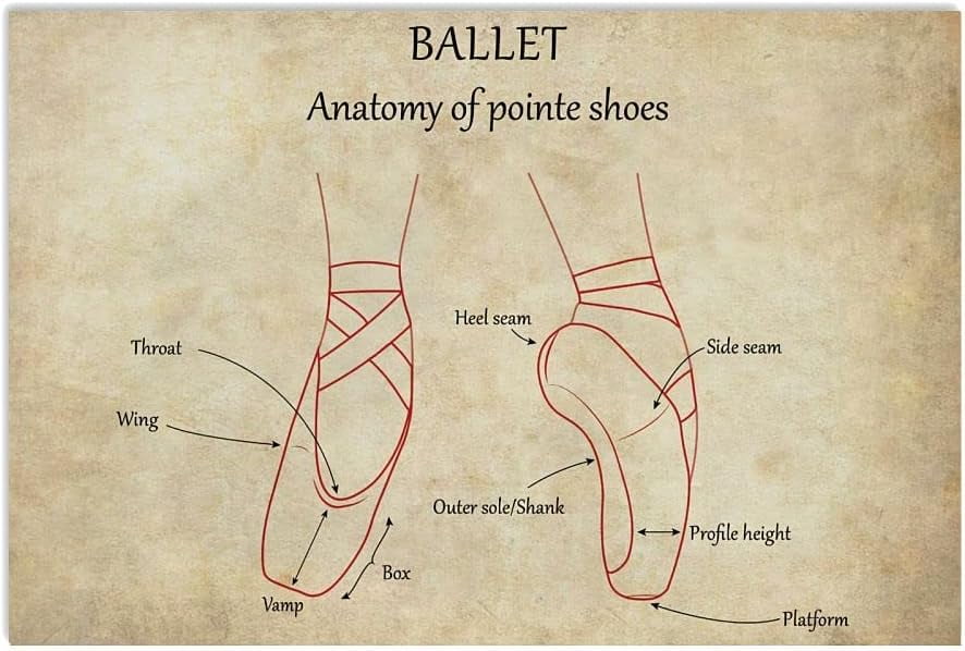 Ballet Anatomy Of Pointe Shoes Metal Tin Signs Ballet Knowledge Posters ...