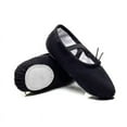 thumbnail image 1 of Ballet Canvas Dance Shoes for Toddler/Kids/Women,Ballet Slippers for Dancing, 1 of 4