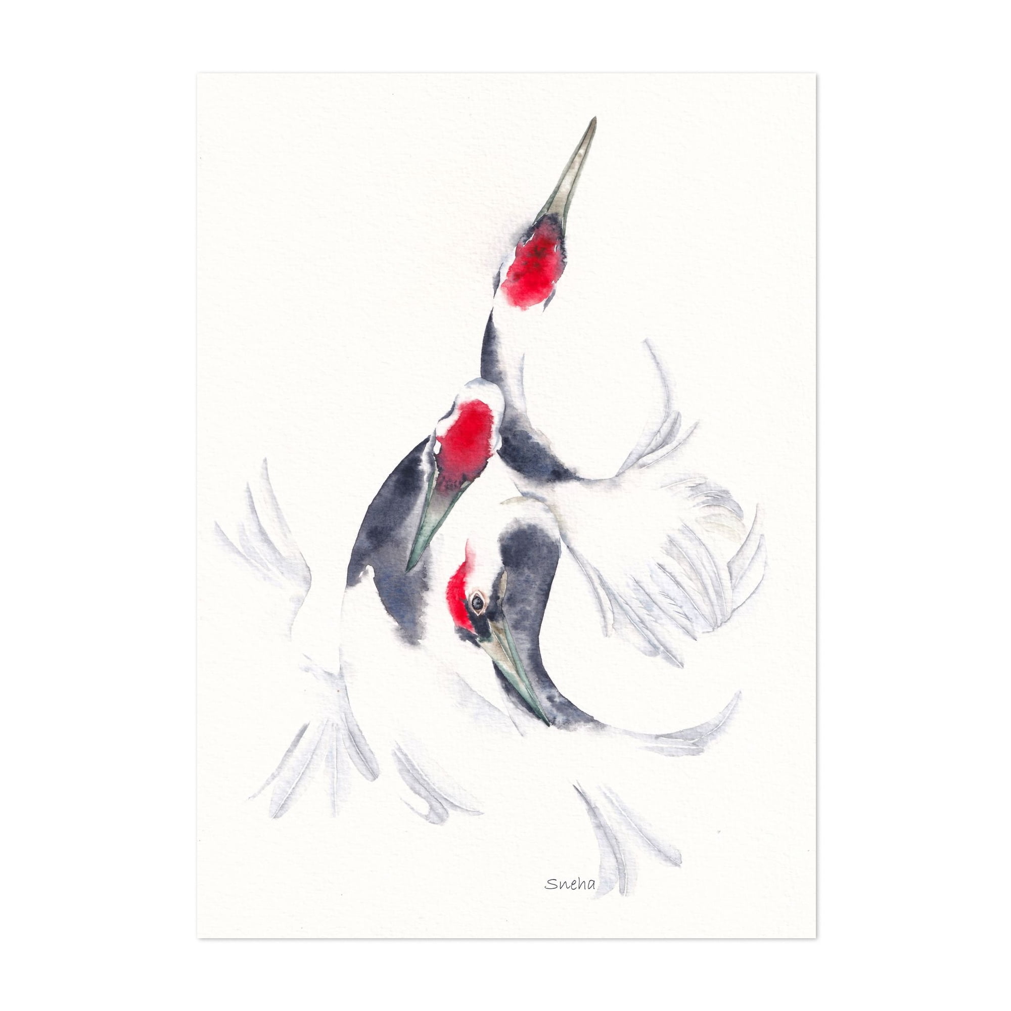 Ballet of Crimson Crowns | Red Crowned Cranes Watercolour Art Print ...