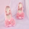 thumbnail image 1 of Ballet Dance Shoes For Girls Soft Sole Cat Design Classical Practice Footwear, 1 of 3