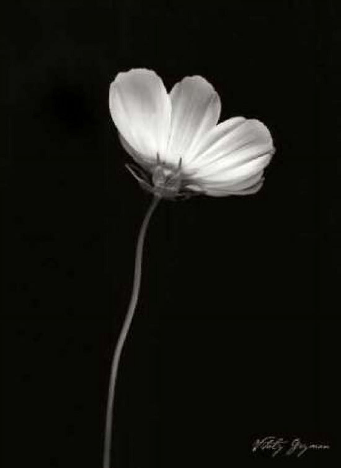 Ballet Flower II BandW Canvas Art - Vitaly Geyman (18 x 24)