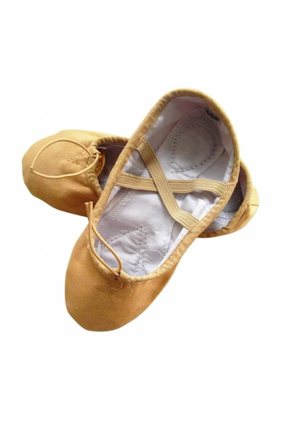Ballet Shoes for Women Girls Canvas Dance Shoes Ballet Slipper Yoga Shoes Indoor Split Sole Flats
