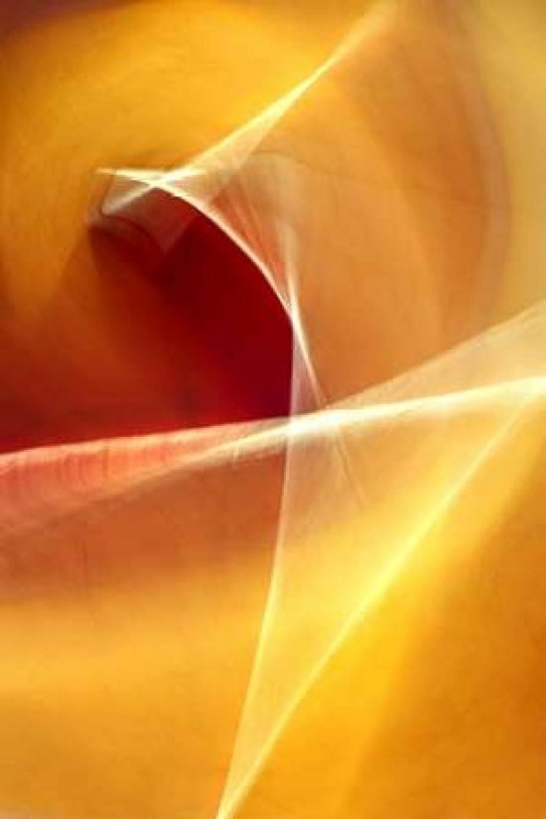 Ballet of Light Canvas Art - Douglas Taylor (24 x 36)