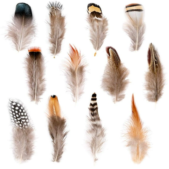 Ballinger 240pcs 12 Styled Natural Feathers Assorted Mixed Feathers for Jewelry and Dream Catcher Crafts Decoration