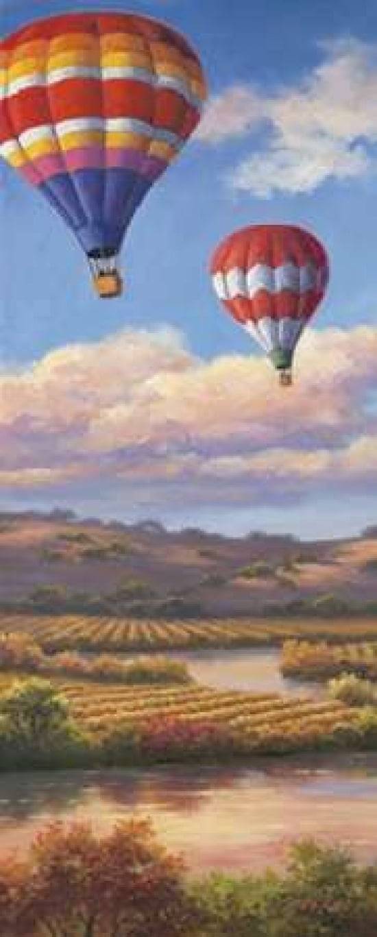Balloon Panel I Canvas Art - Sung Kim (10 x 20)