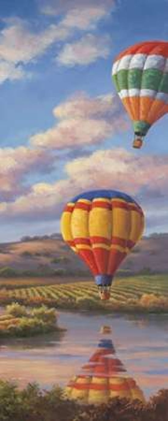 Balloon Panel II Canvas Art - Sung Kim (24 x 48)