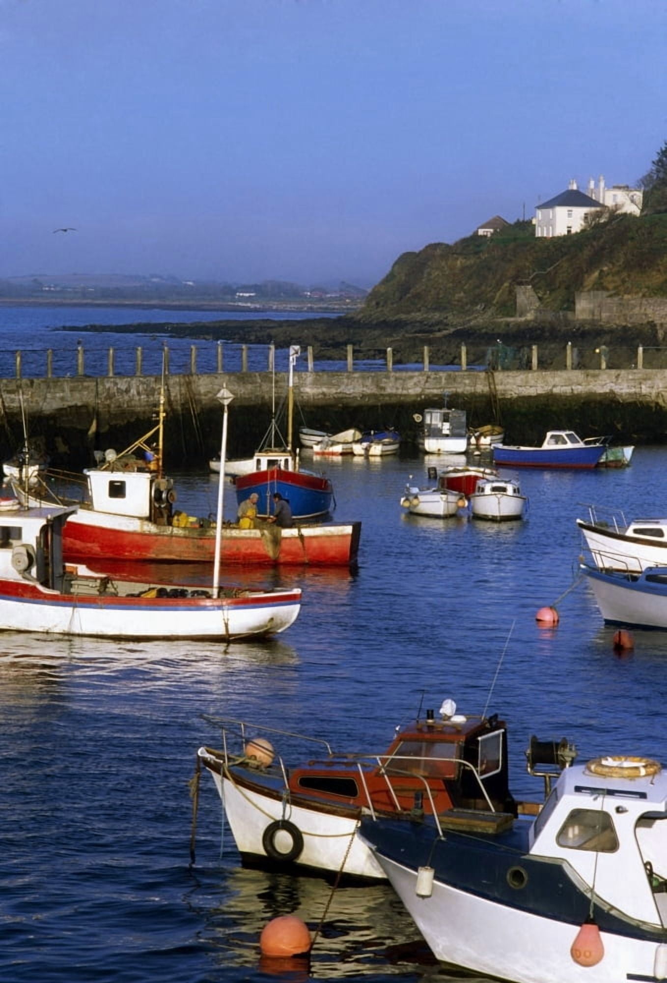 Ballycotton Co Cork Ireland Harbour Of A Fishing Village Canvas Art - The Irish Image Collection Design Pics (24 x 36)