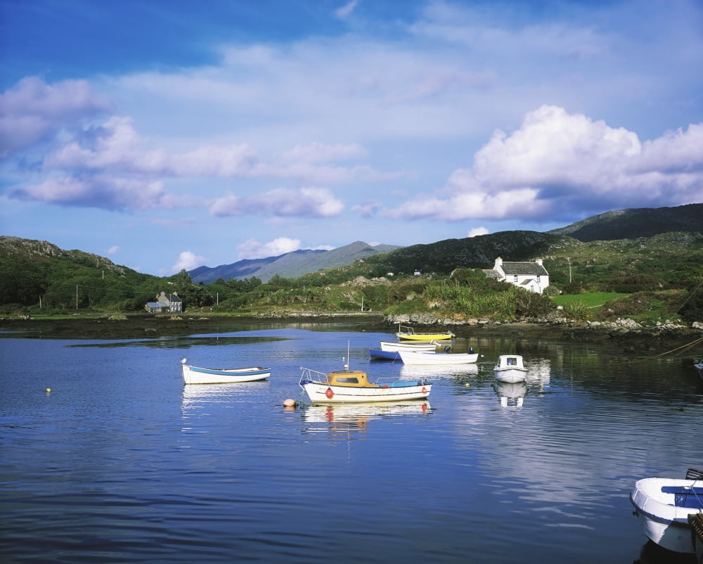 Ballycrovane Harbour Beara Peninsula Co Cork Ireland Canvas Art - The Irish Image Collection  Design Pics (36 x 28)