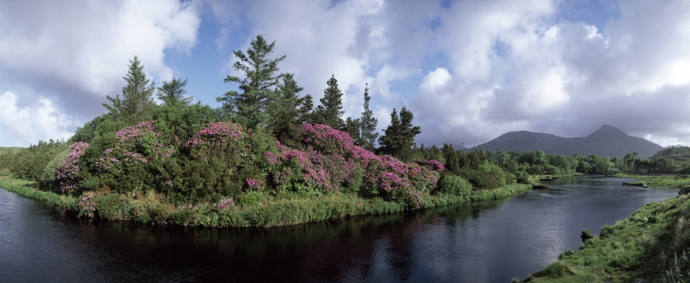 Ballynahinch Connemara Co Galway Ireland Canvas Art - The Irish Image Collection Design Pics (44 x 18)