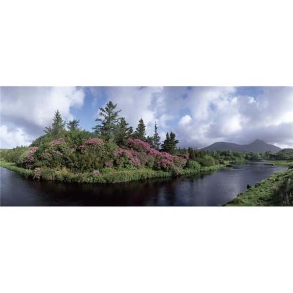Ballynahinch Connemara Co Galway Ireland Poster Print by The Irish Image Collection - 34 x 13