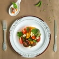 thumbnail image 1 of Balsa Circle 10 Pieces 10" White Plastic Salad Plates Red Gold Trim Disposable Tableware, 1 of 8