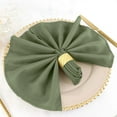 thumbnail image 1 of BalsaCircle 10 Pieces 20" Eucalyptus Green Polyester Napkins Wedding Kitchen, 1 of 8
