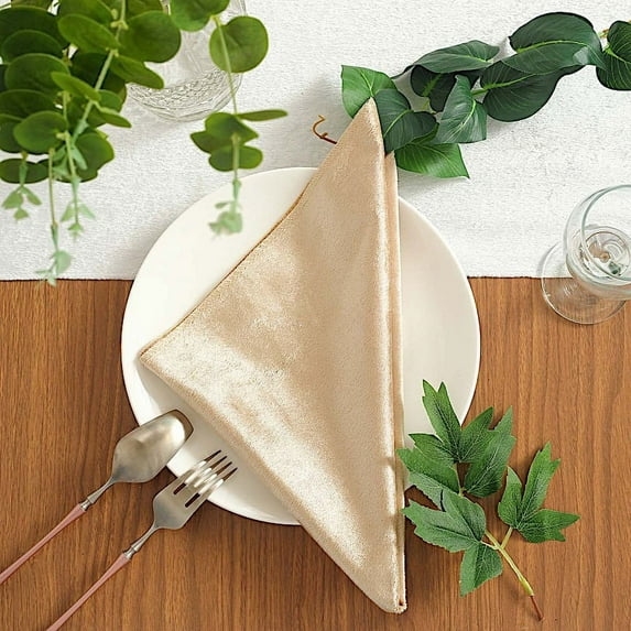 BalsaCircle 10 Pieces 20" x 20" Champagne Premium Velvet Napkins Home
