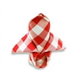 thumbnail image 1 of Balsa Circle 100 Pieces 15" x 15" Red White Gingham Checkered Polyester Napkins, 1 of 7