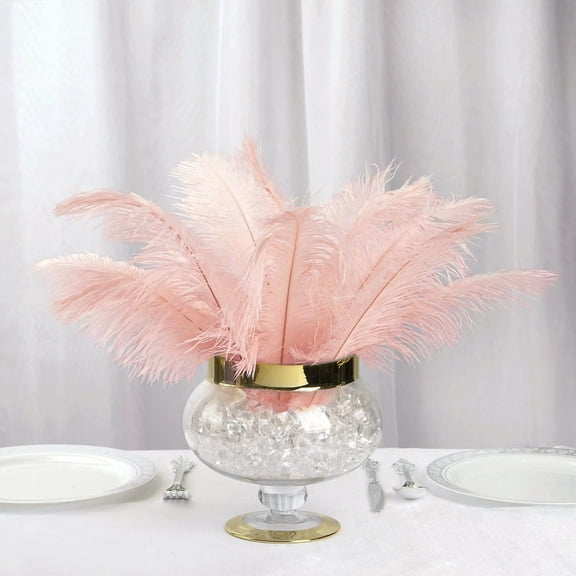 Balsa Circle 12 Pieces 13"-15" Authentic Ostrich Feathers Centerpieces