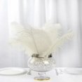 thumbnail image 1 of BalsaCircle 12 Pieces 13" 15" Authentic Ostrich Feathers Centerpieces Party Table, 1 of 8