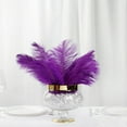 thumbnail image 1 of Balsa Circle 12 Pieces 13"-15" Purple Authentic Ostrich Feathers Centerpieces, 1 of 8