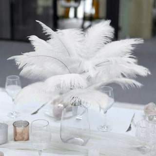 2 Pieces - 25-29 White X-Large Ostrich Wing Plumes Centerpiece Feathers  Party Wedding Cosplay | Moonlight Feather