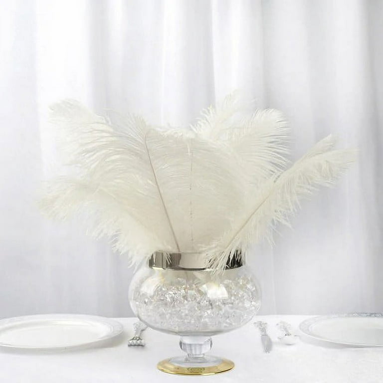 BalsaCircle 12 Pieces 13-15 Authentic Ostrich Feathers