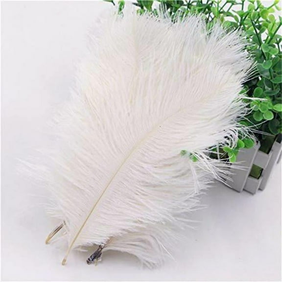 BalsaCircle 12 Pieces 24"- 26" Authentic Ostrich Feathers Centerpieces