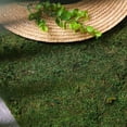 thumbnail image 1 of BalsaCircle 18" x 16" Green Natural Preserved Moss Sheet Wedding Party Crafts Centerpieces Decorations, 1 of 8