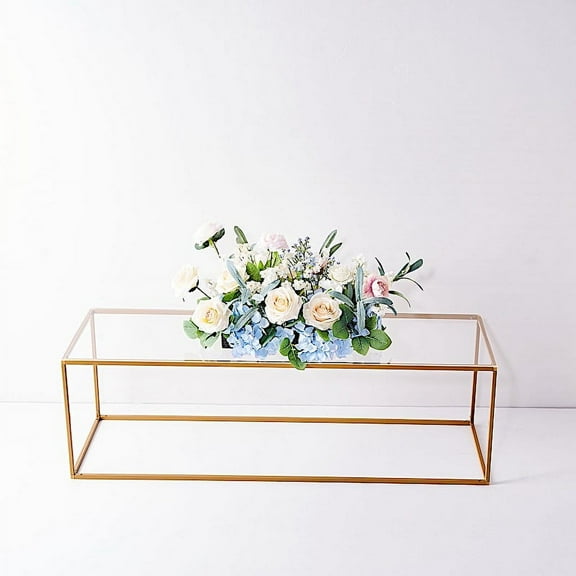 BalsaCircle 2 Clear 40x12" Rectangle Plexiglass Sheets DIY Acrylic Sign Boards Wedding DIY Crafts