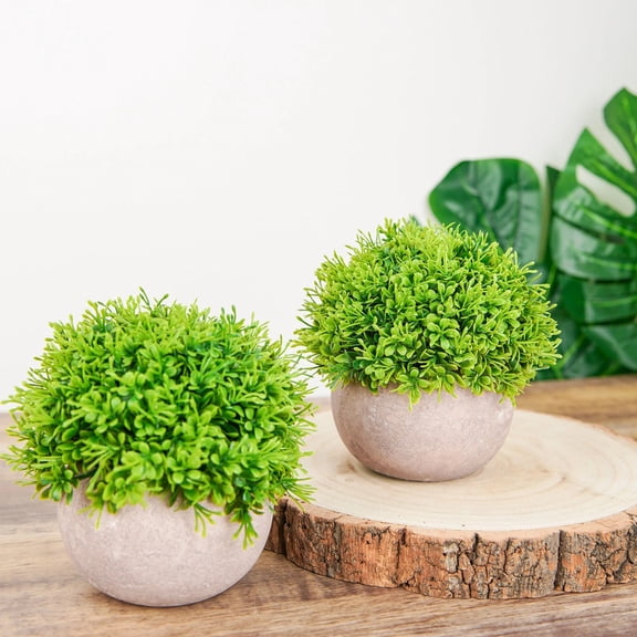 Balsa Circle 2 Green 5" Mini Boxwood Topiary Artificial Plants Gray Planter Pots