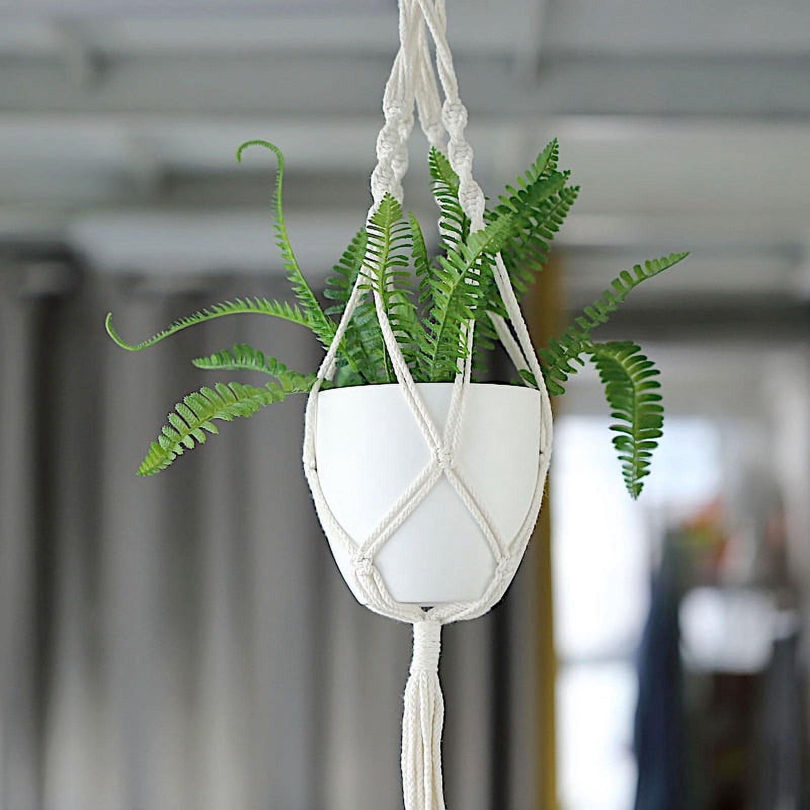 Balsa Circle 2 Ivory Cotton Ropes Macrame Plant Hanger Decorative ...